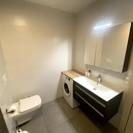 Apartment Petit Nid Au Centre Avec Garage Prive