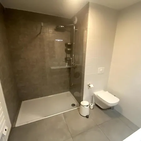 Apartment Petit Nid Au Centre Avec Garage Prive Annecy
